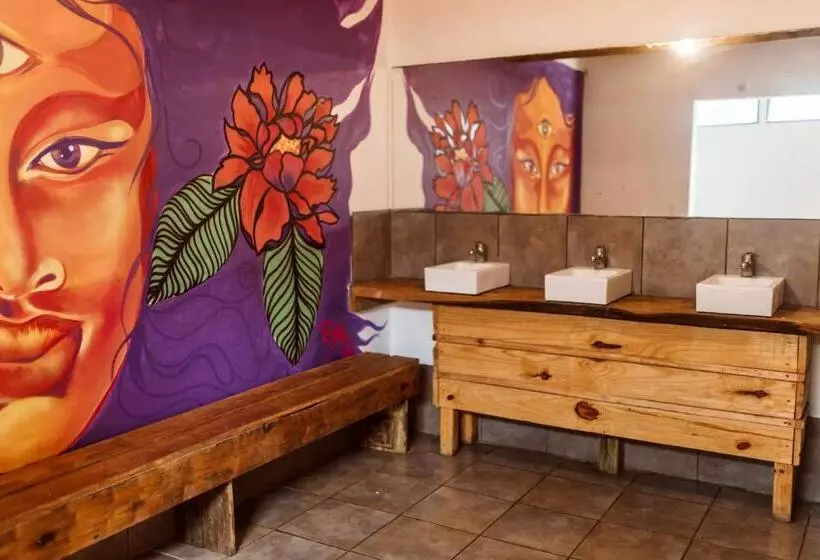 Compay Hostel La Pedrera