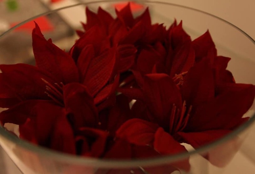 בית מלון כפרי Fantasy