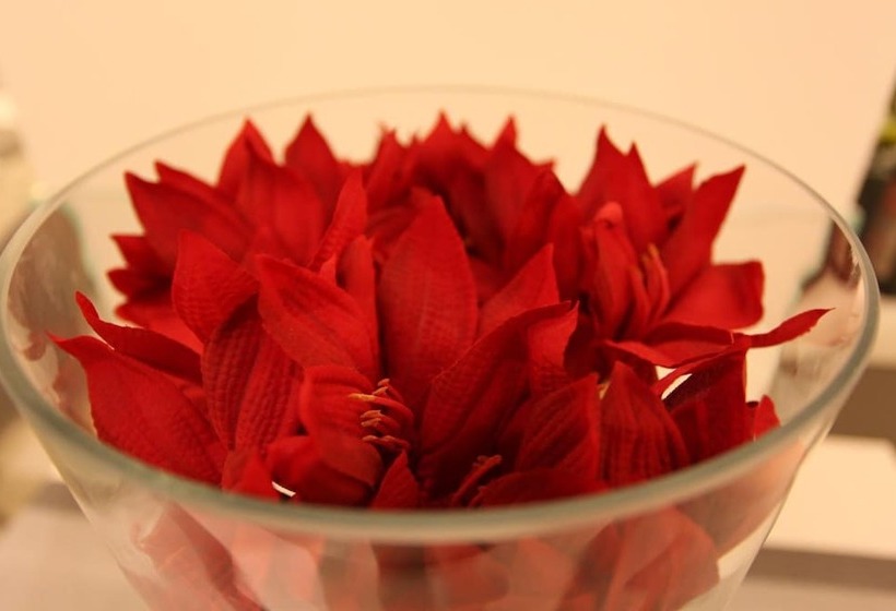 בית מלון כפרי Fantasy