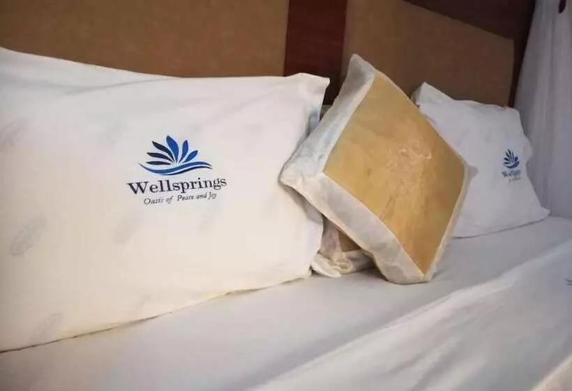 هتل Wellsprings