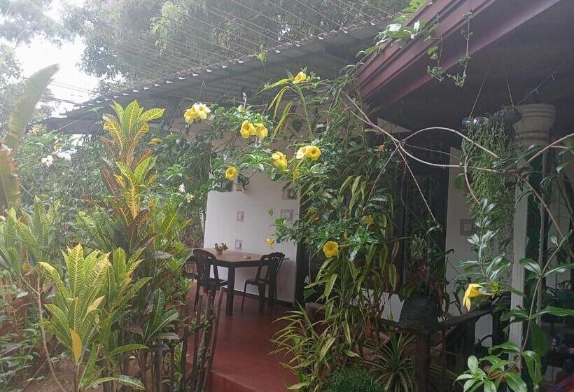 Bed and Breakfast Littleadems View