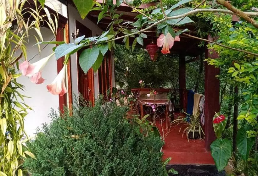 Bed & Breakfast Littleadems View