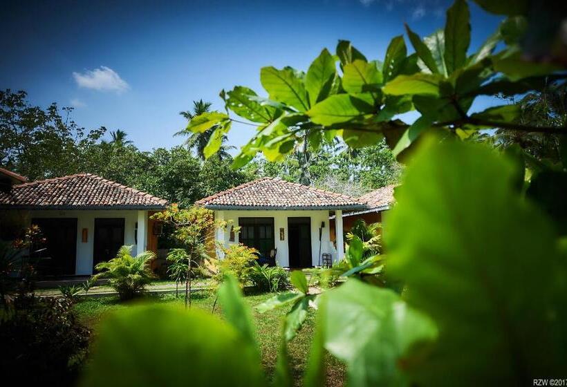 فندق Jasmine Cabanas