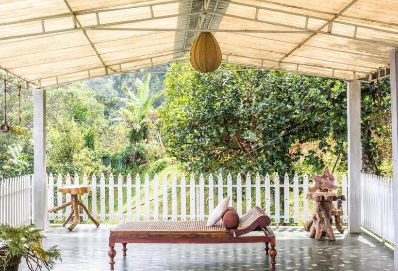 リゾートホテル Villa Perpetua