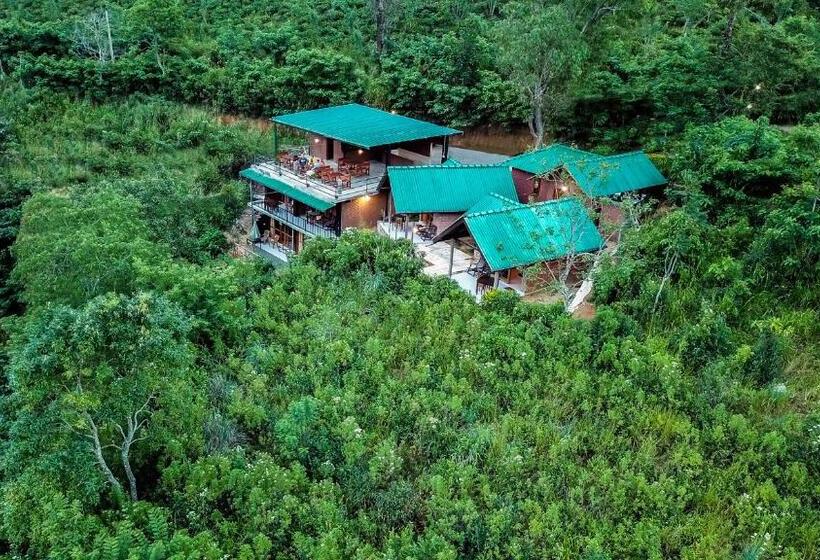 Wild Resort Ella
