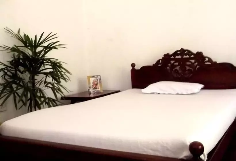 ベッドアンドブレックファースト Eco Villa   Sinharaja