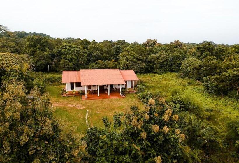 تختخواب و صبحانه Ruins Villa