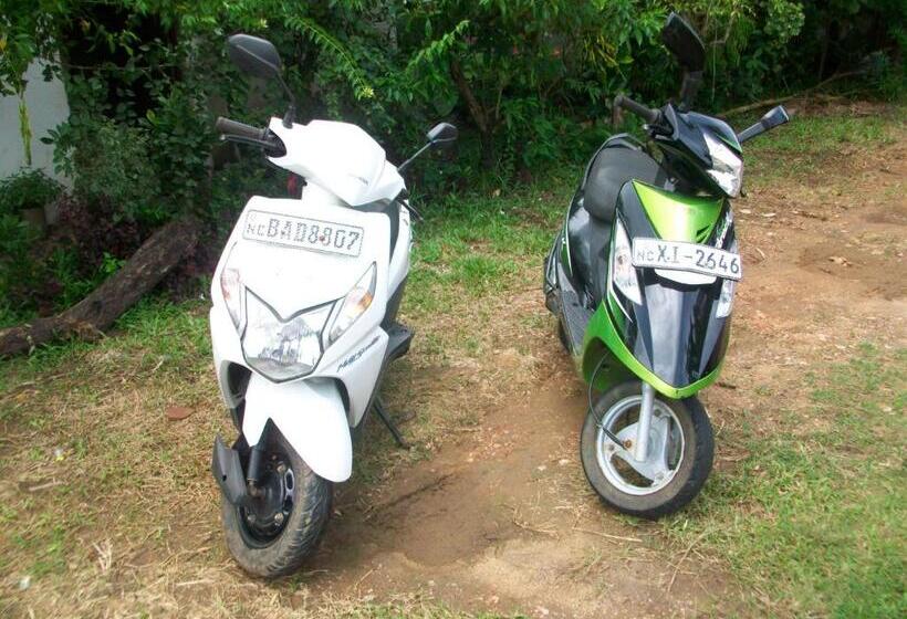 تختخواب و صبحانه Ruins Villa