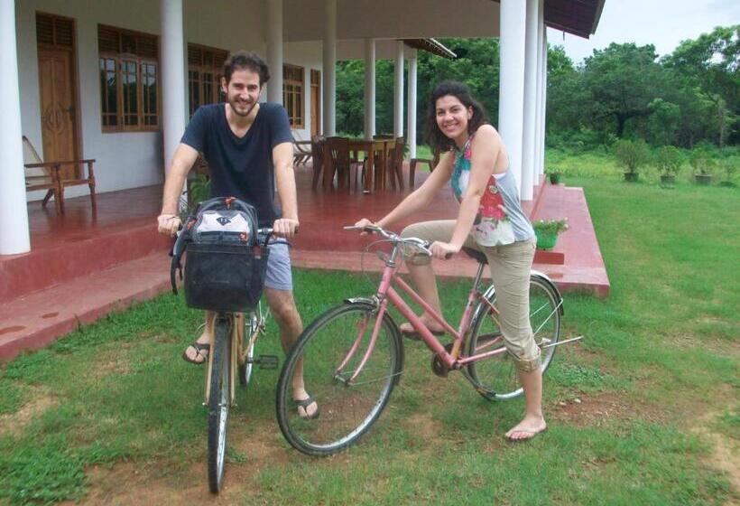 تختخواب و صبحانه Ruins Villa