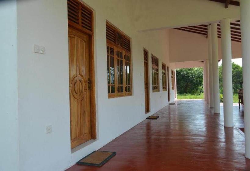 تختخواب و صبحانه Ruins Villa