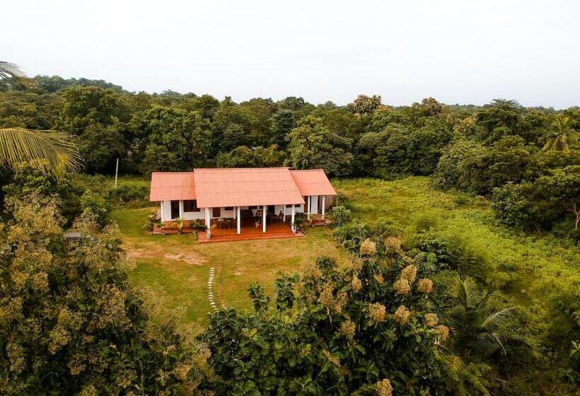 تختخواب و صبحانه Ruins Villa