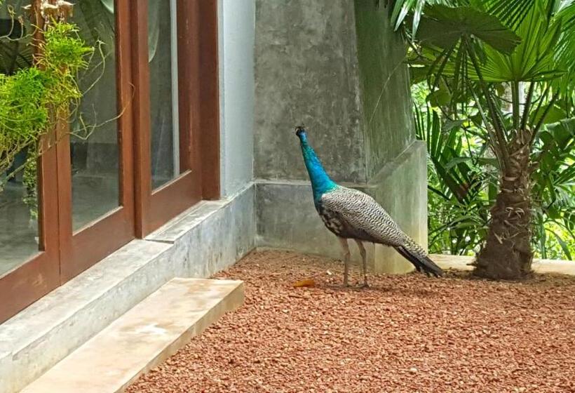 Отель Highland Villa