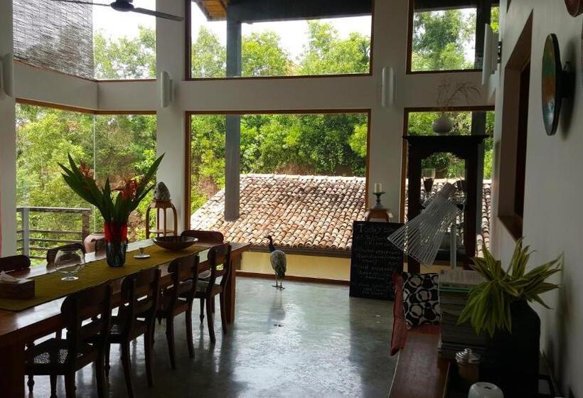 Отель Highland Villa