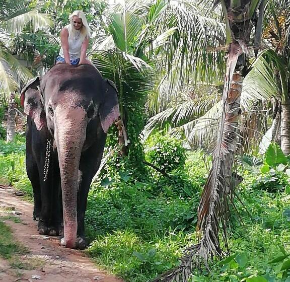 酒店 Rainbow Beach