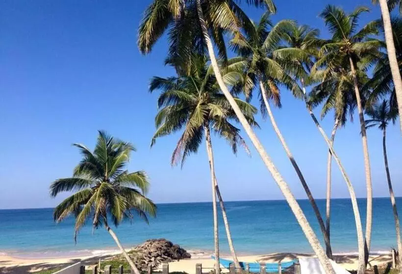 ホテル Rainbow Beach
