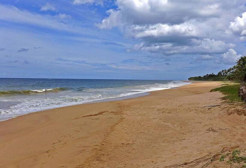 استراحتگاه Seven Turtles