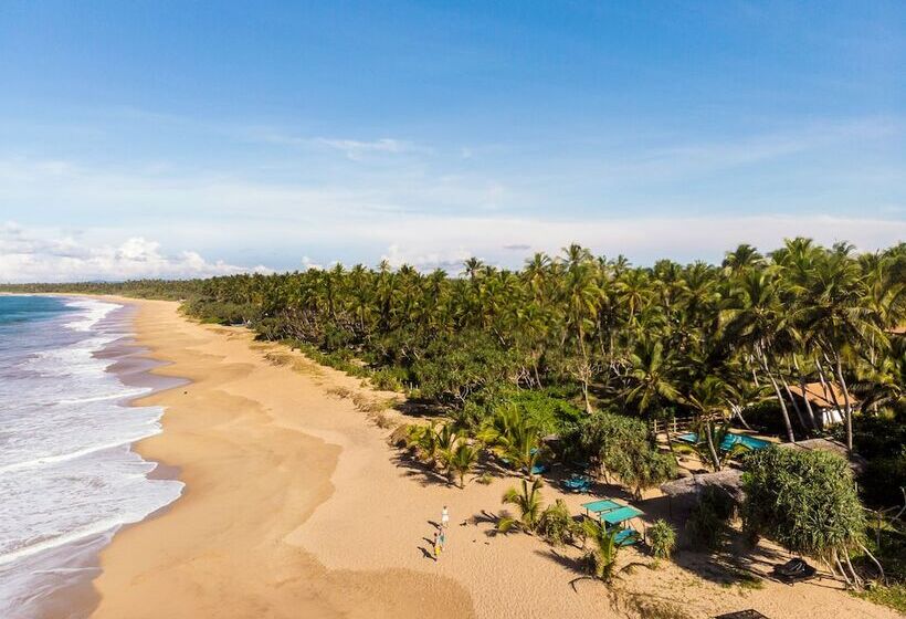 استراحتگاه Seven Turtles