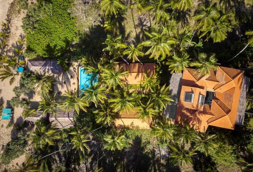 استراحتگاه Seven Turtles