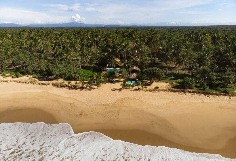 استراحتگاه Seven Turtles