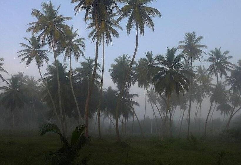 استراحتگاه Seven Turtles