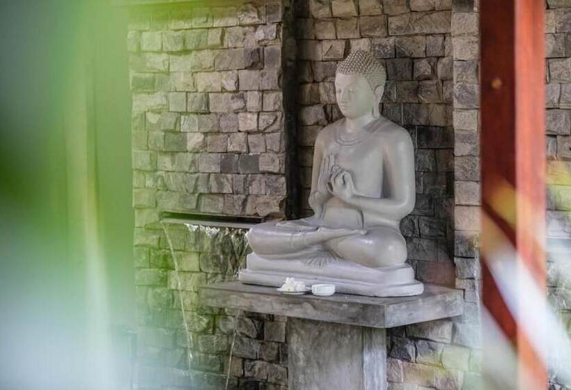 استراحتگاه Seven Turtles