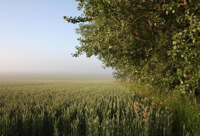 Borregården Bed & Breakfast
