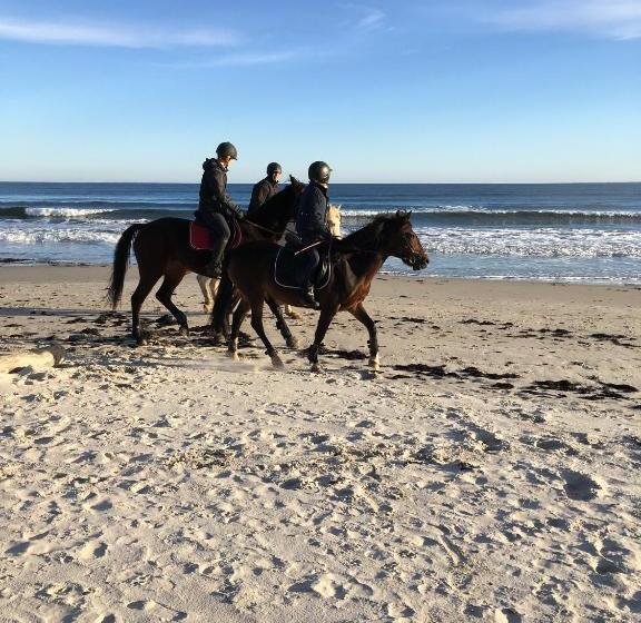 Borregården Bed & Breakfast