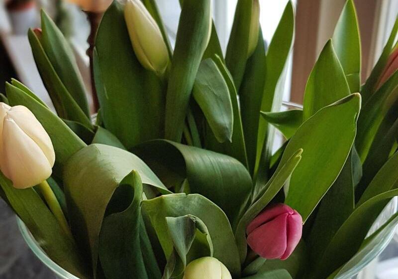 Erzscheidergaarden Hotell