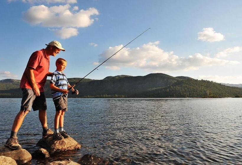 Отель Hovdestøylen