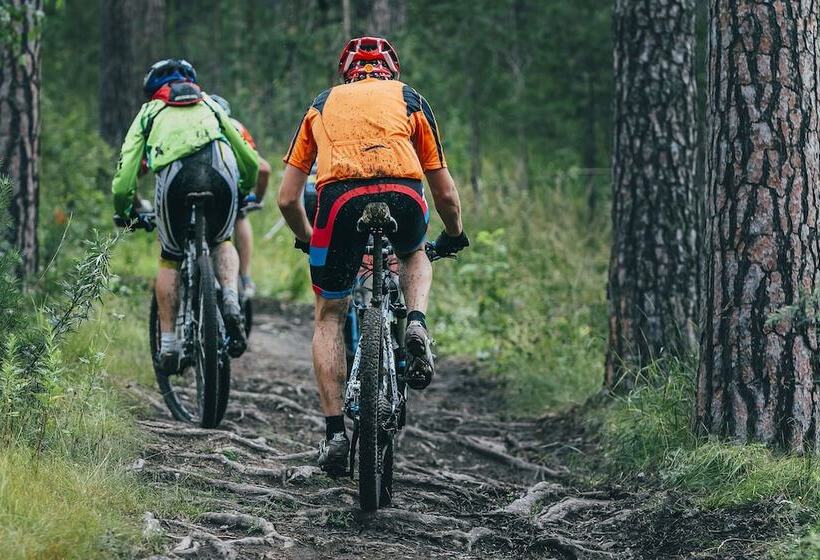 בית מלון כפרי L Hallstaberget