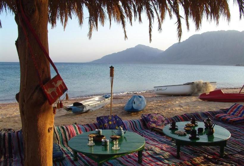 هتل Sayadeen Village Red Sea Riviera