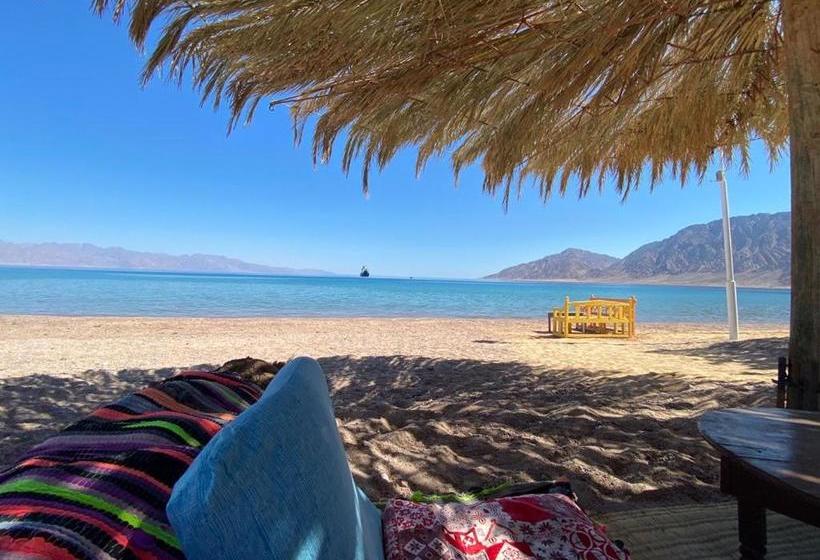 هتل Sayadeen Village Red Sea Riviera