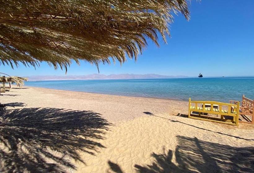 هتل Sayadeen Village Red Sea Riviera