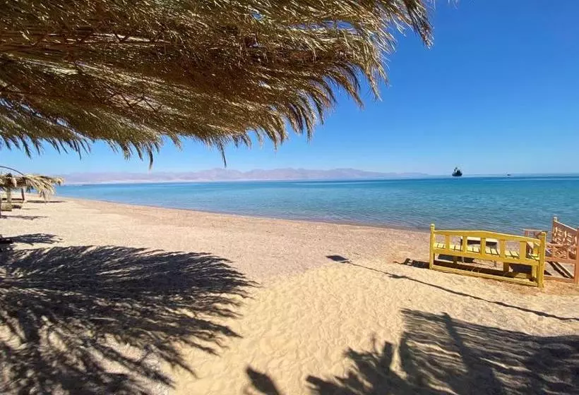 هتل Sayadeen Village   Red Sea Riviera