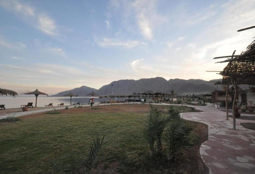 هتل Sayadeen Village Red Sea Riviera