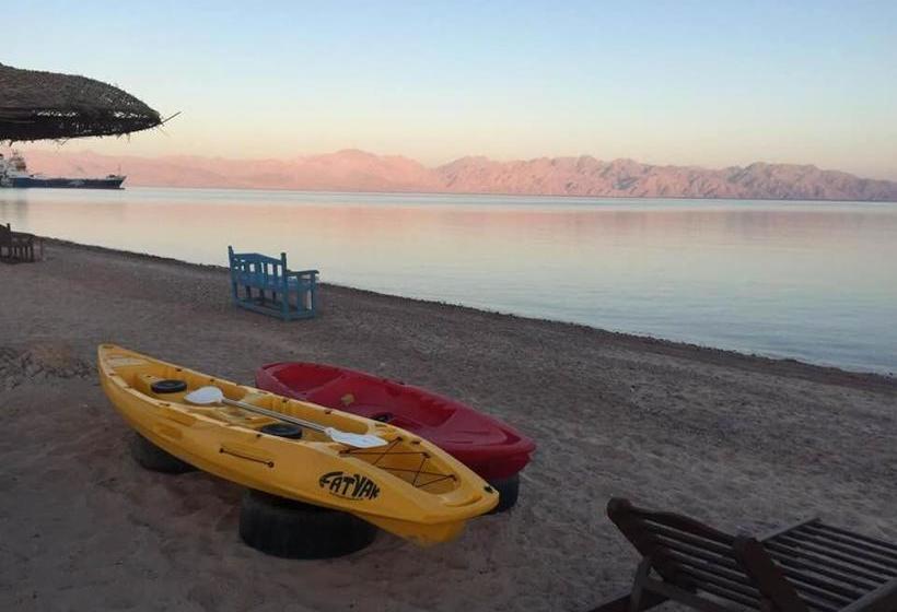 هتل Sayadeen Village Red Sea Riviera