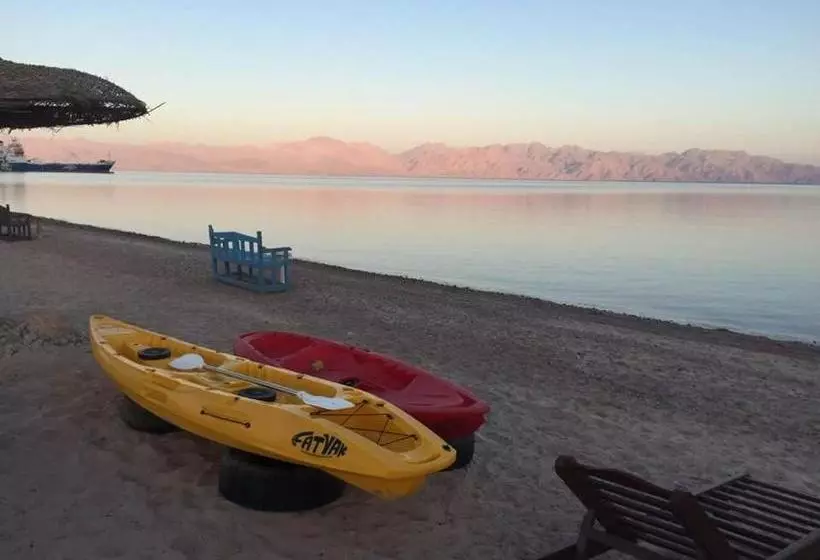 هتل Sayadeen Village   Red Sea Riviera