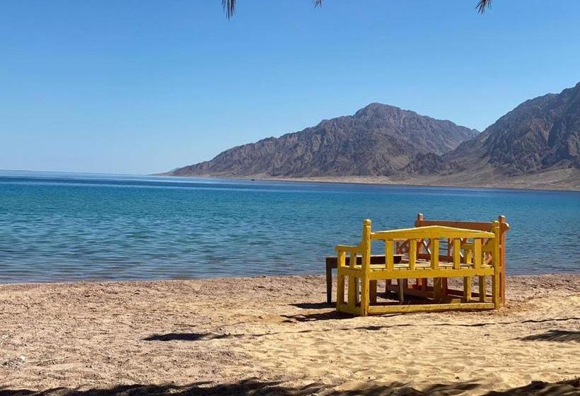 هتل Sayadeen Village Red Sea Riviera