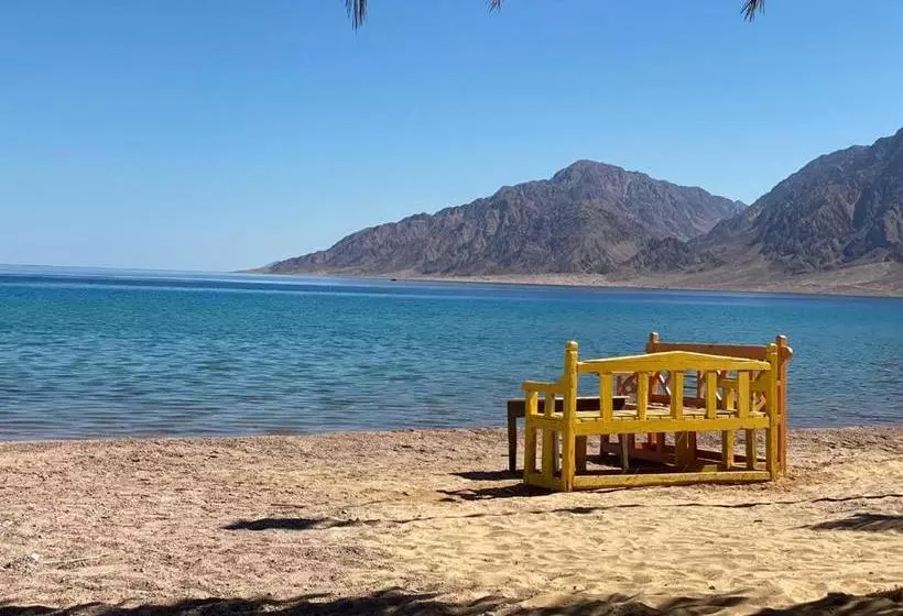 هتل Sayadeen Village   Red Sea Riviera