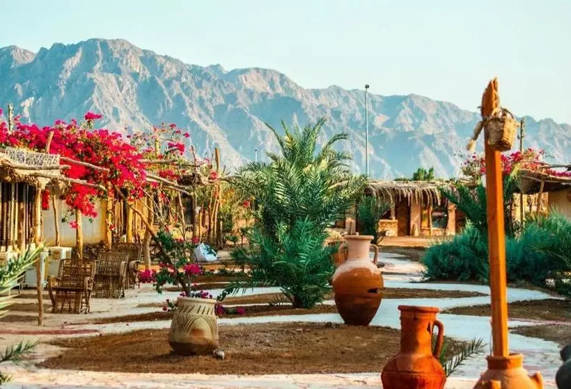 هتل Sayadeen Village   Red Sea Riviera