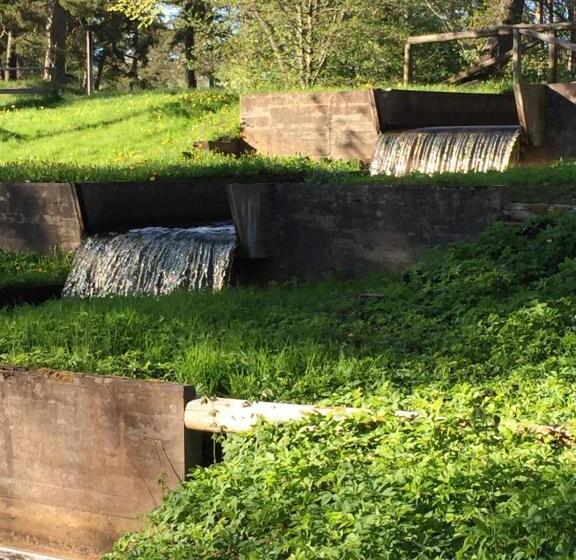 Kvarndammens Bed & Breakfast