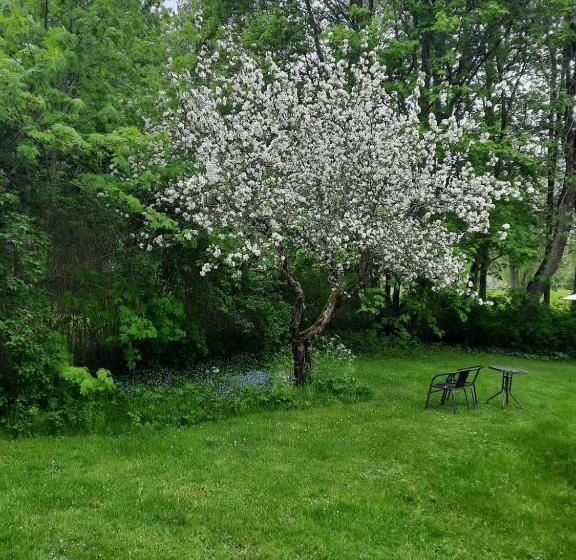 Kvarndammens Bed & Breakfast