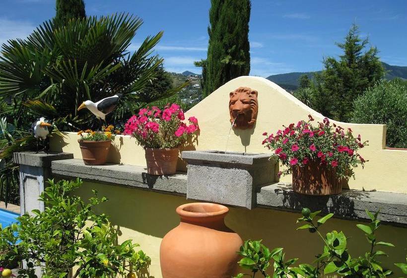 Beachside Villas Motel