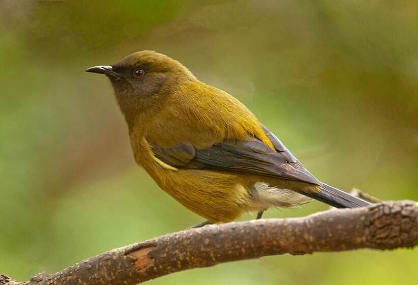 مبيت وإفطار Blythcliffe