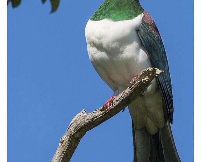 مبيت وإفطار Blythcliffe