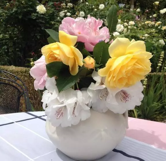 Bed and Breakfast Blythcliffe
