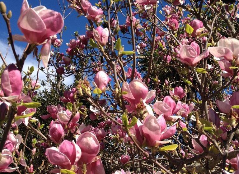 مبيت وإفطار Blythcliffe