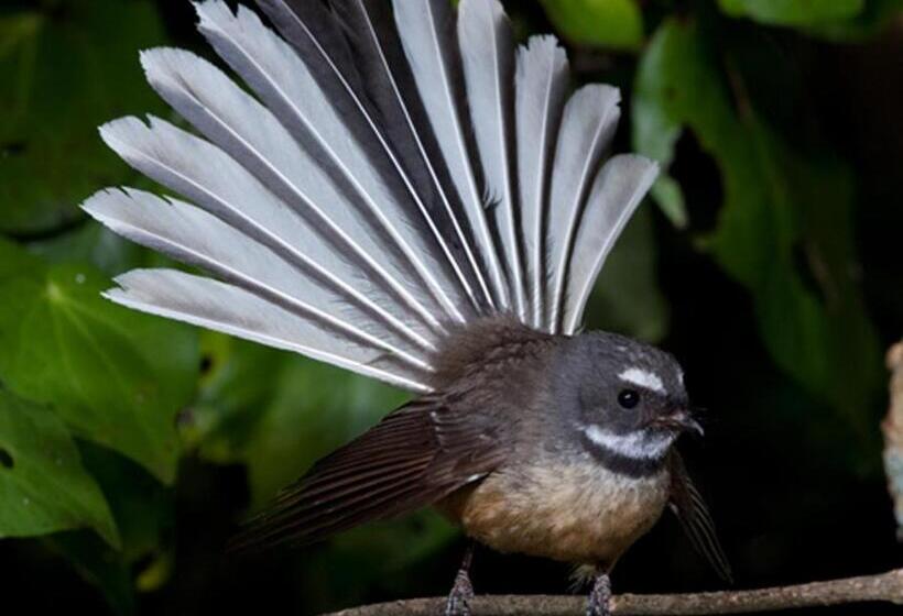 مبيت وإفطار Blythcliffe