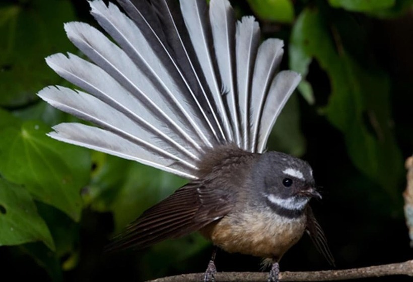 مبيت وإفطار Blythcliffe