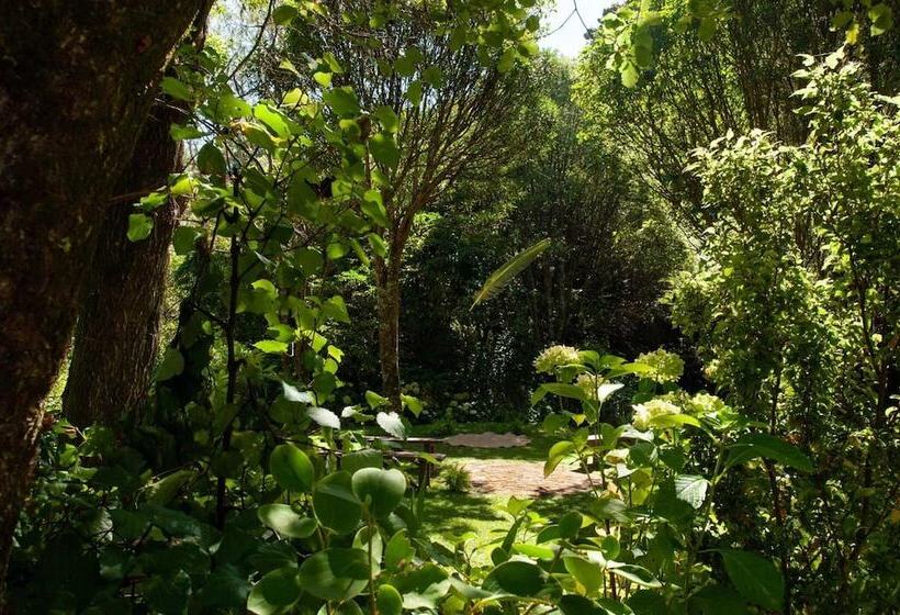 مبيت وإفطار Blythcliffe